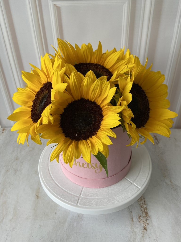 CILINDRO GIRASOLES
