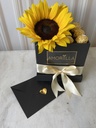 CHOCO GIRASOL