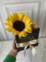 CHOCO GIRASOL