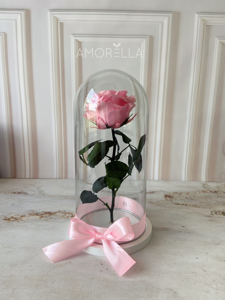 ROSA ETERNA - ROSADA