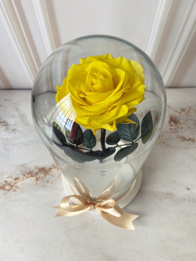 ROSA ETERNA
