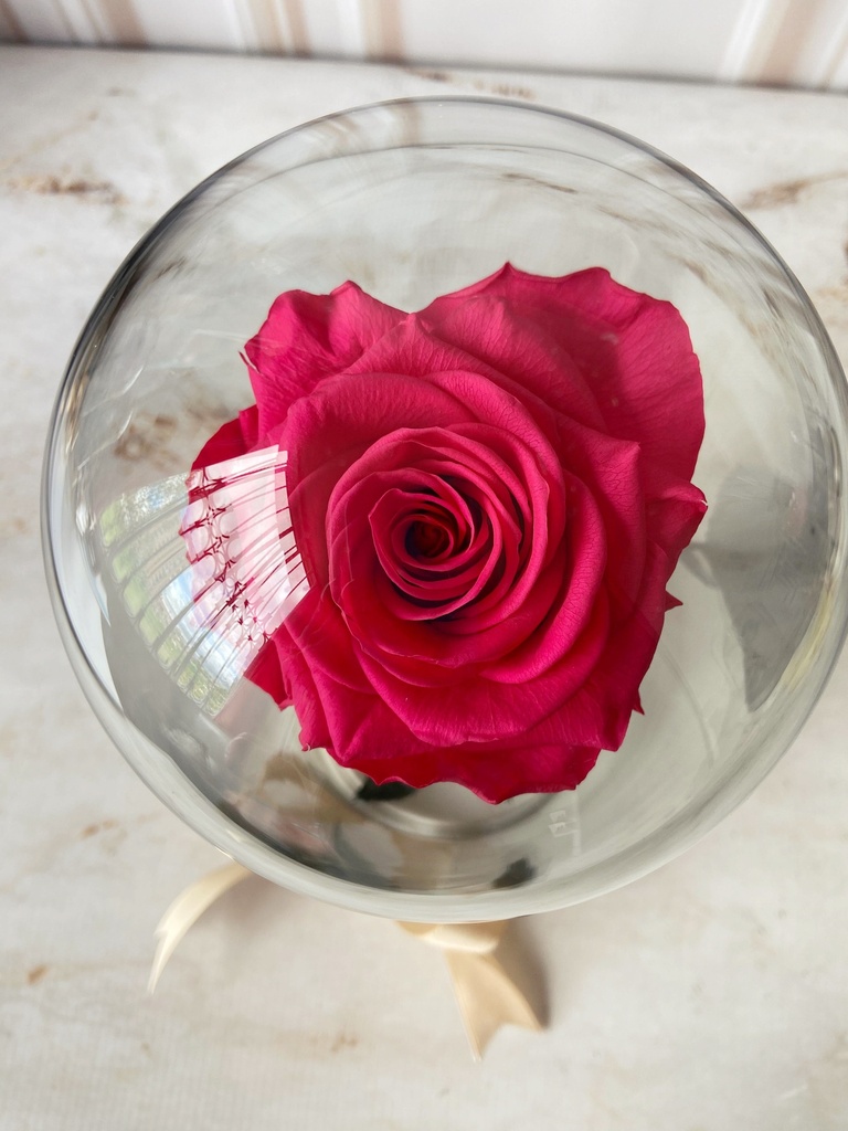 ROSA ETERNA