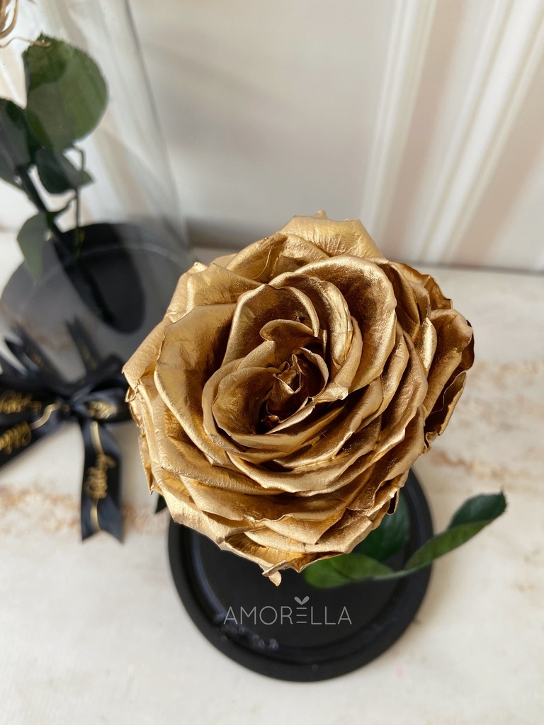 ROSA ETERNA - FUCSIA