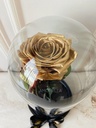 ROSA ETERNA - GOLD
