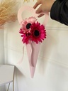 CONO GERBERA