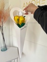CONO GERBERA