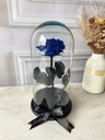 ROSA ETERNA - AZUL REY