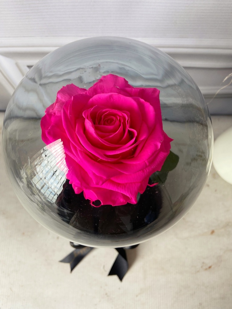 ROSA ETERNA - AZUL REY