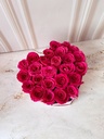 LUCRECIA