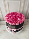 DELUXE ROSE ROSADO