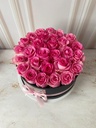 DELUXE ROSE ROSADO