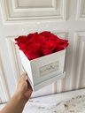 BOX ROSES BLANCO