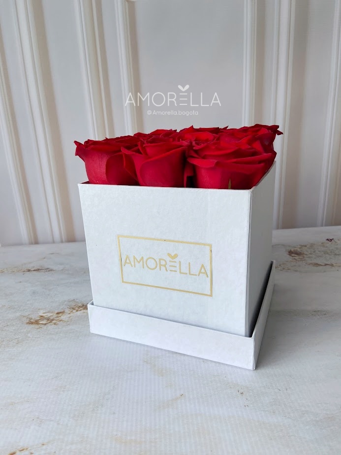 BOX ROSES BLANCO