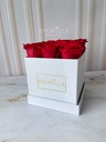 BOX ROSES BLANCO