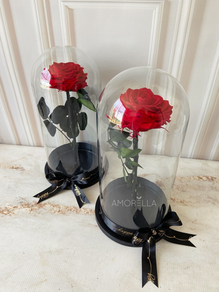 ROSA ETERNA - ROJA