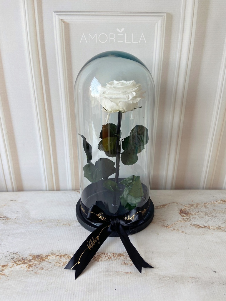 ROSA ETERNA - BLANCA