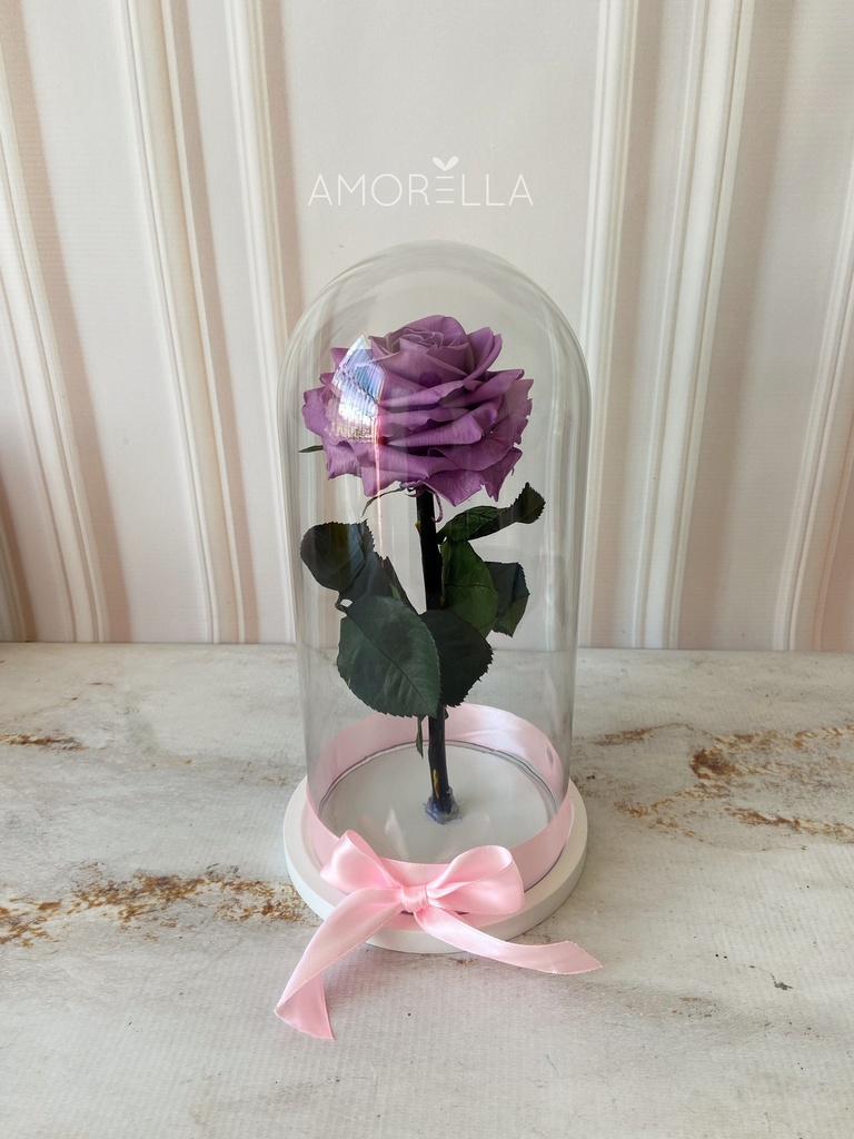 ROSA ETERNA - LILA