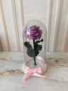 ROSA ETERNA - LILA