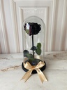 ROSA ETERNA - NEGRO