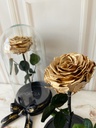 ROSA ETERNA - GOLD