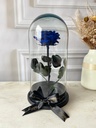ROSA ETERNA - AZUL REY