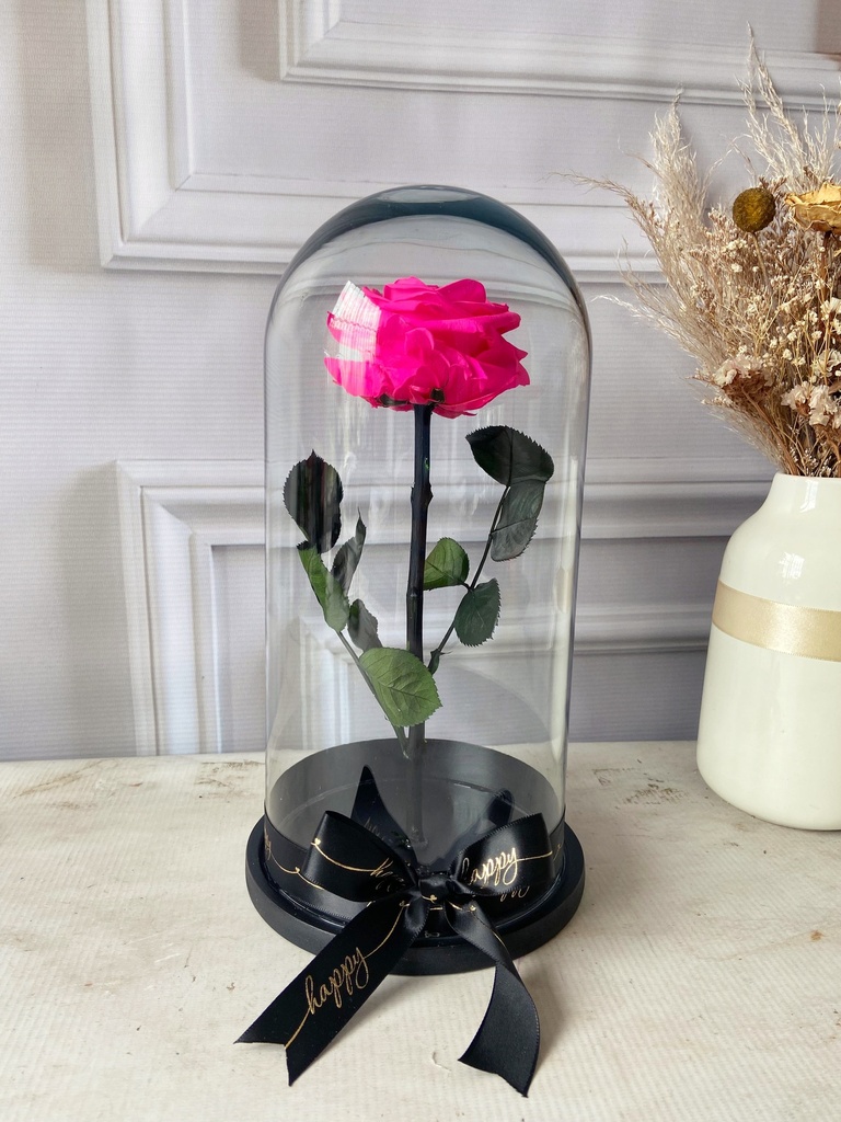 ROSA ETERNA - FUCSIA