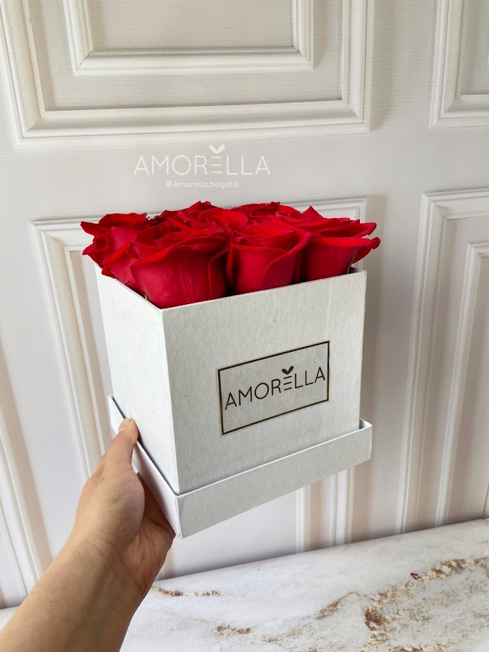 BOX ROSES BLANCO