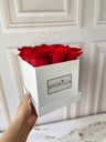 BOX ROSES BLANCO
