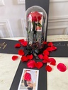 ROSA ROJA SORPRESA