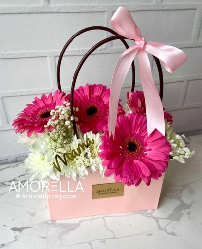 BOLSA GERBERA