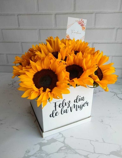 CAJA GIRASOLES