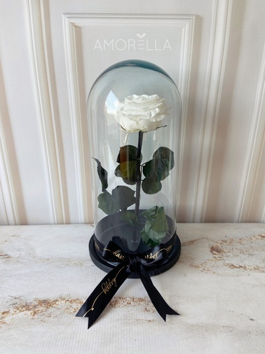 ROSA ETERNA - BLANCA