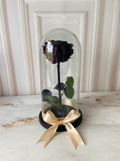 ROSA ETERNA - NEGRO