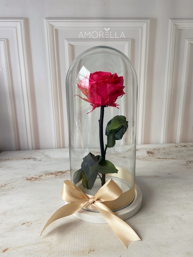 ROSA ETERNA - ROJA