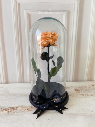 ROSA ETERNA - NARANJA