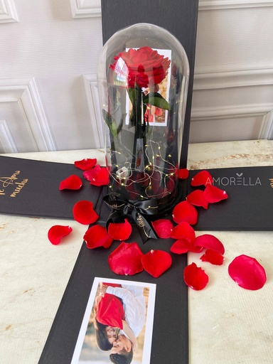 ROSA ROJA SORPRESA